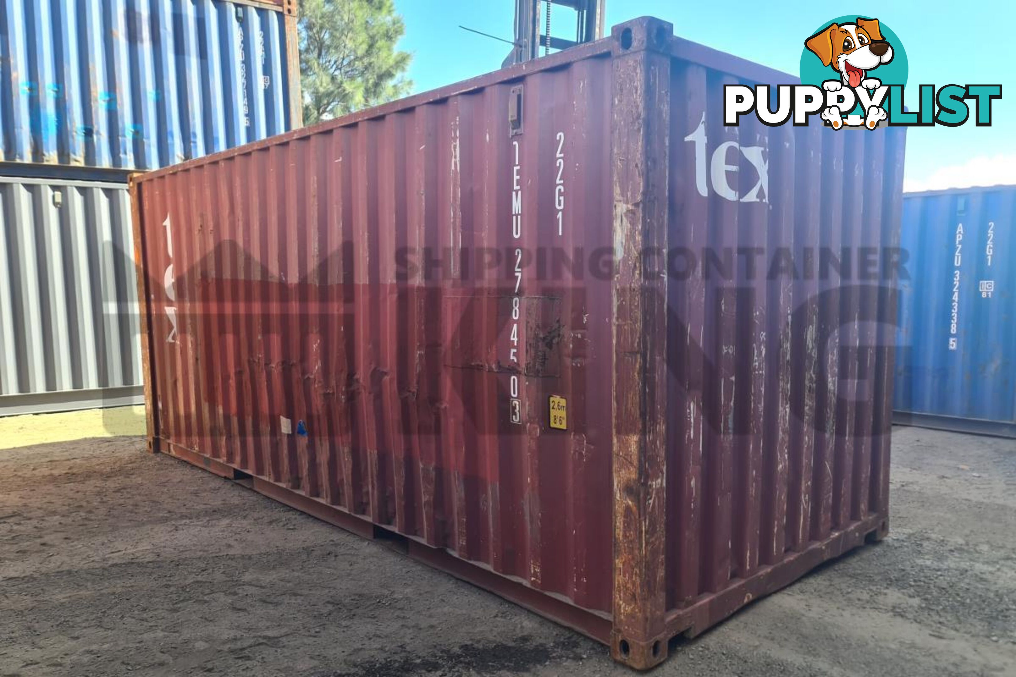 20' STANDARD HEIGHT SHIPPING CONTAINER