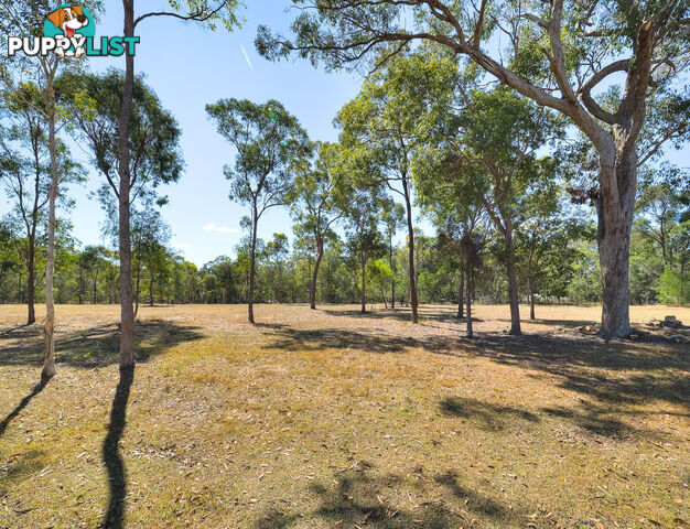 42 Mungomery Road TAKURA QLD 4655