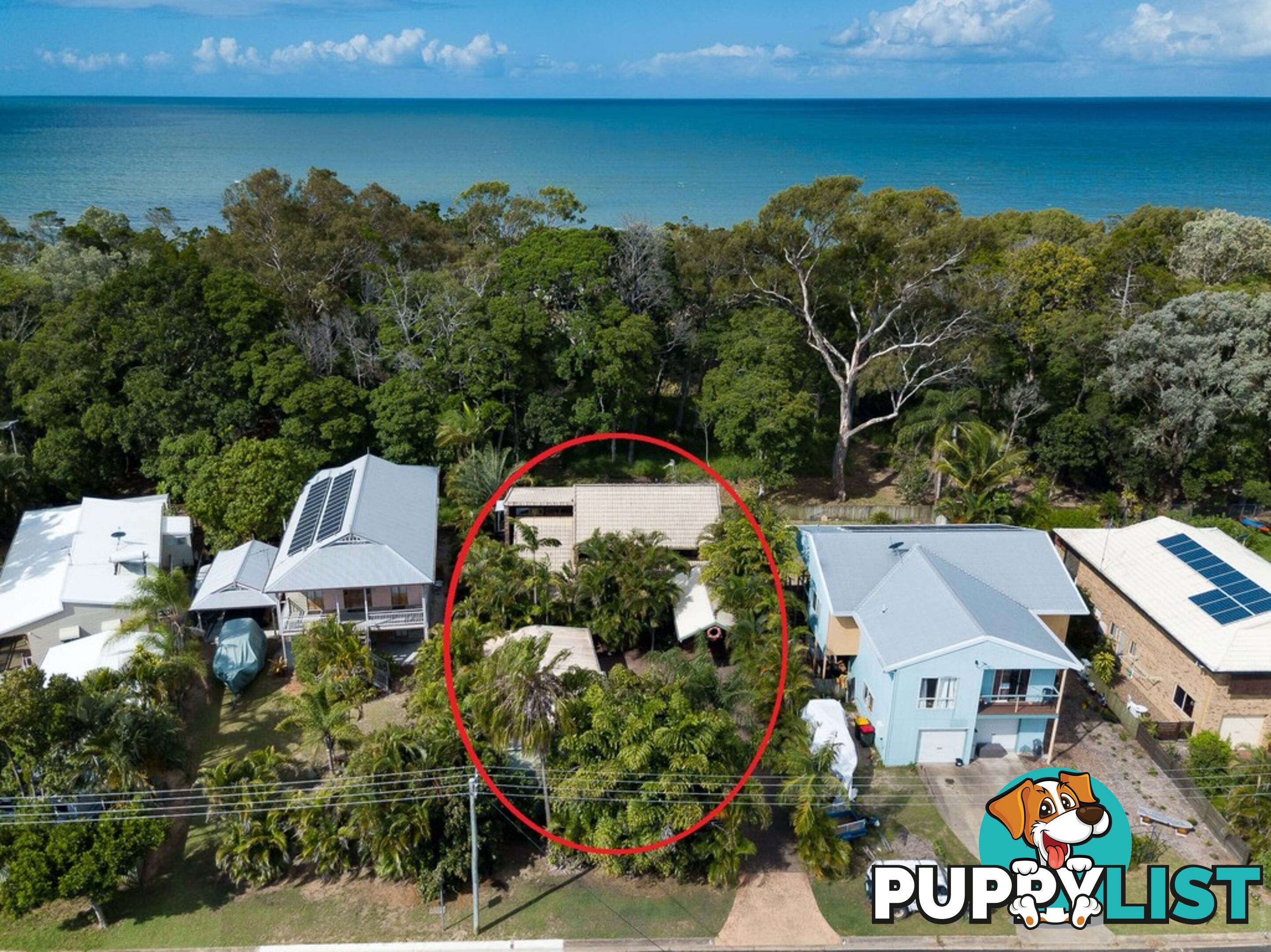 6 Shellcot Street TOOGOOM QLD 4655