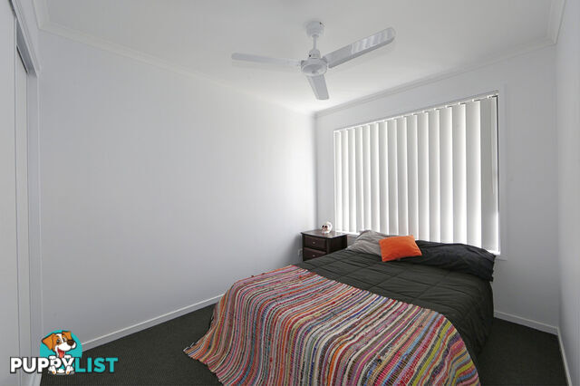 41 Wagtail Circuit KAWUNGAN QLD 4655