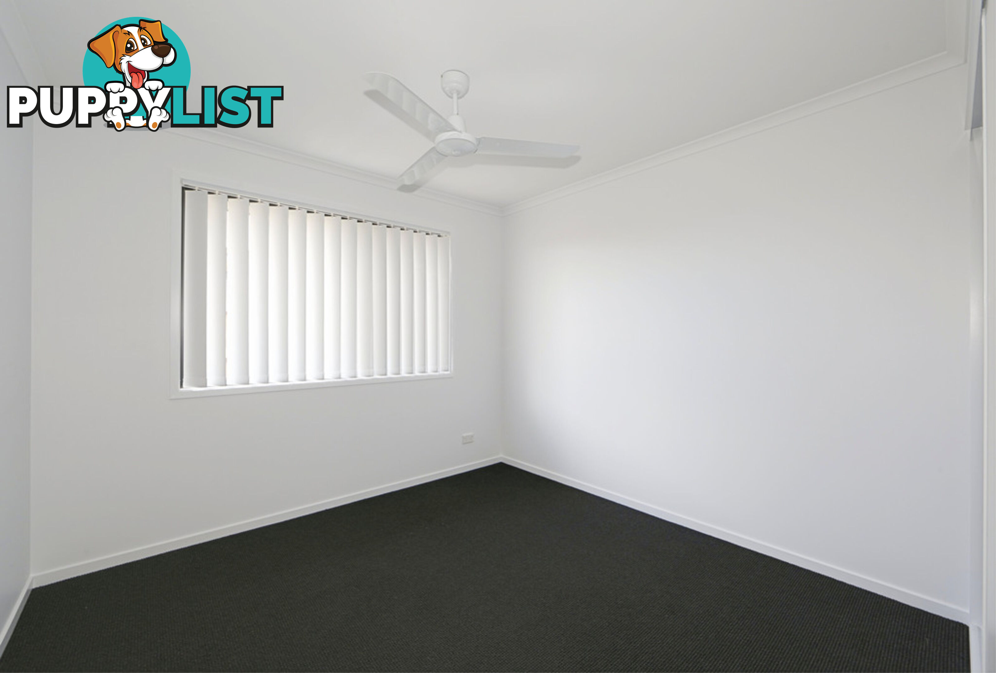 41 Wagtail Circuit KAWUNGAN QLD 4655