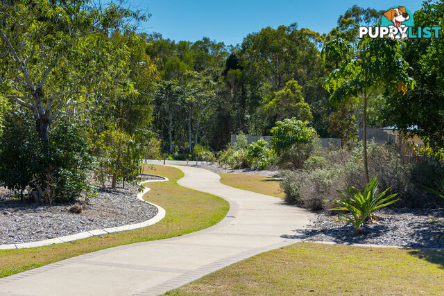 58 Bay Park Road WONDUNNA QLD 4655