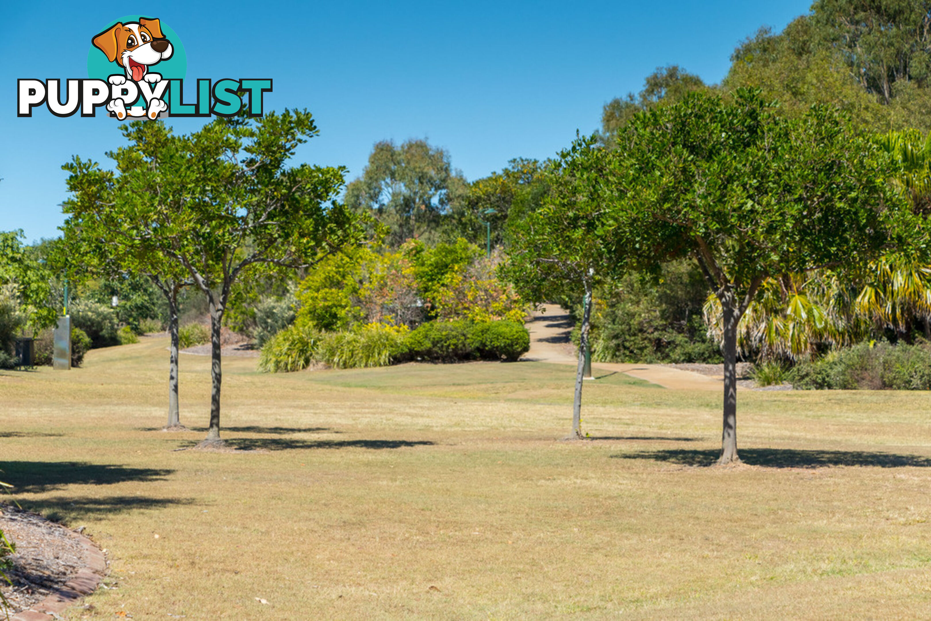 58 Bay Park Road WONDUNNA QLD 4655