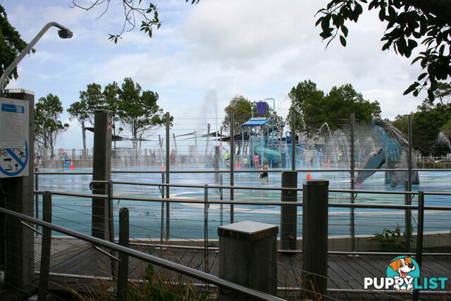 58 Bay Park Road WONDUNNA QLD 4655