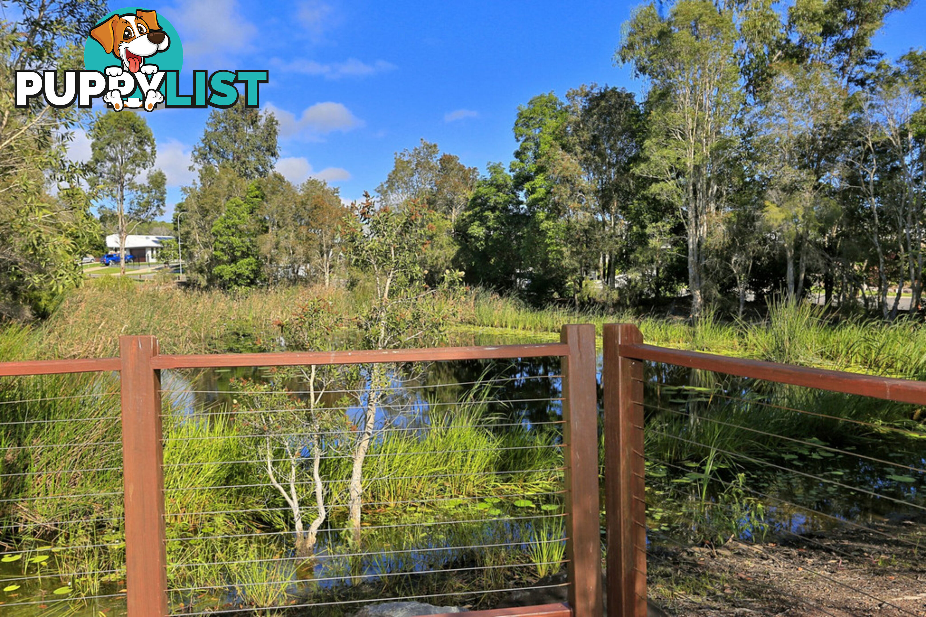 61 Bay Park Road WONDUNNA QLD 4655