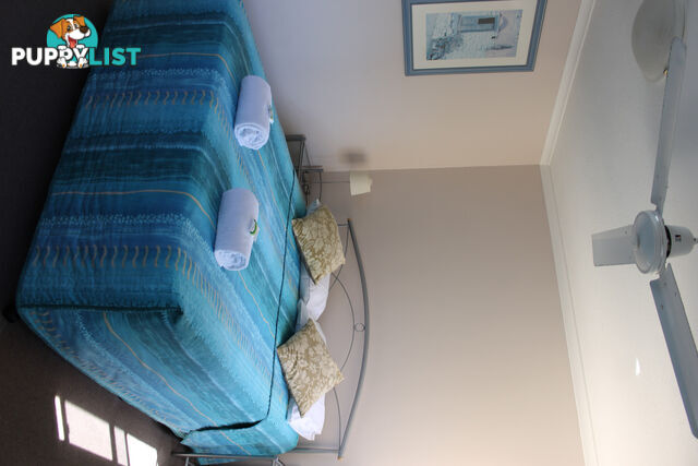 9/496 Esplanade TORQUAY QLD 4655