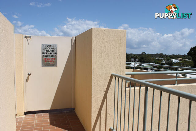 9/496 Esplanade TORQUAY QLD 4655