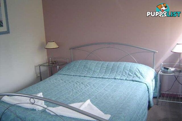9/496 Esplanade TORQUAY QLD 4655