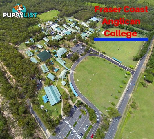 47 Bay Park Road WONDUNNA QLD 4655