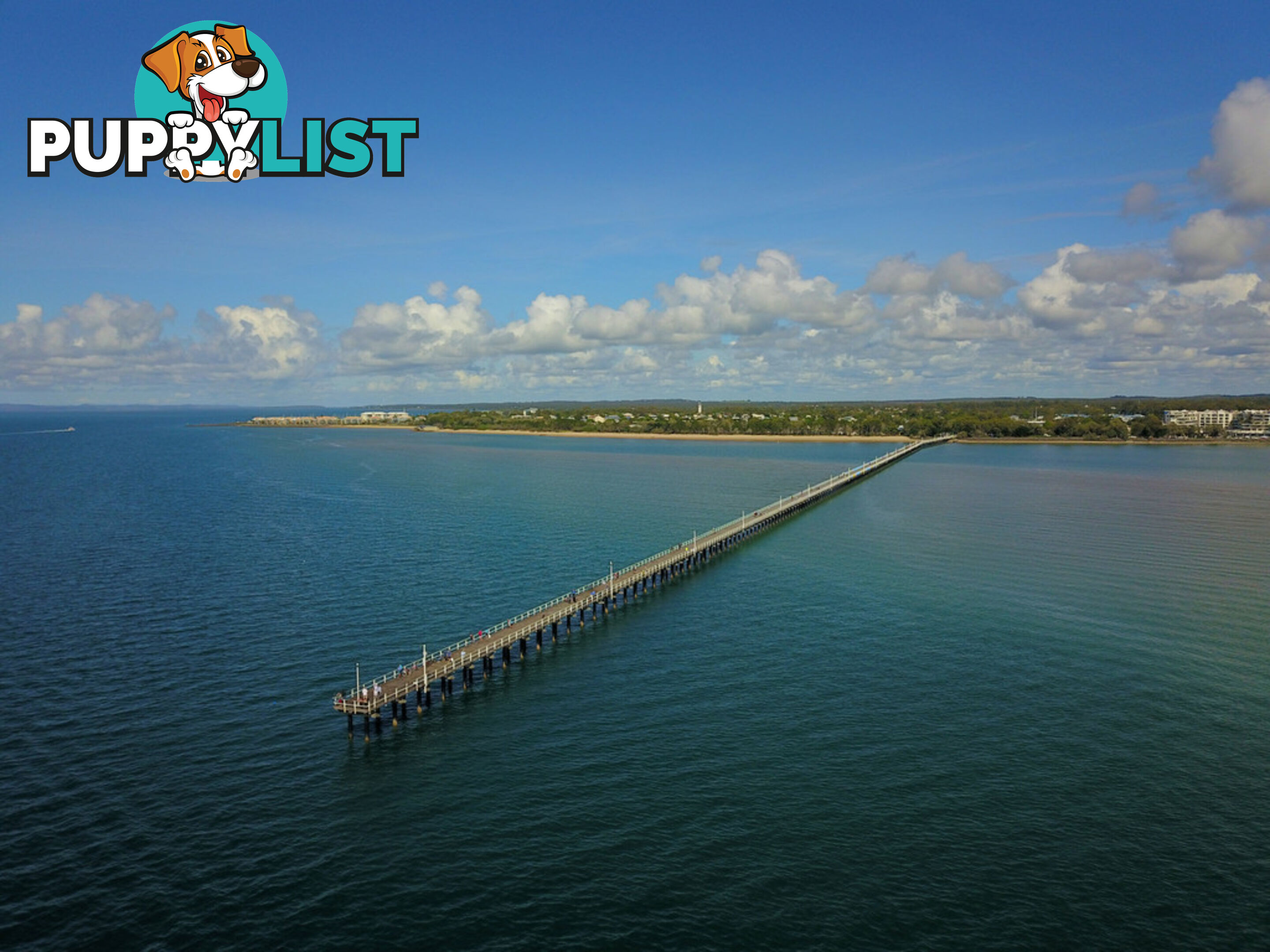 46 Bay Park Road WONDUNNA QLD 4655