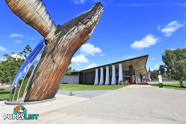 46 Bay Park Road WONDUNNA QLD 4655
