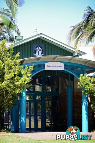 46 Bay Park Road WONDUNNA QLD 4655