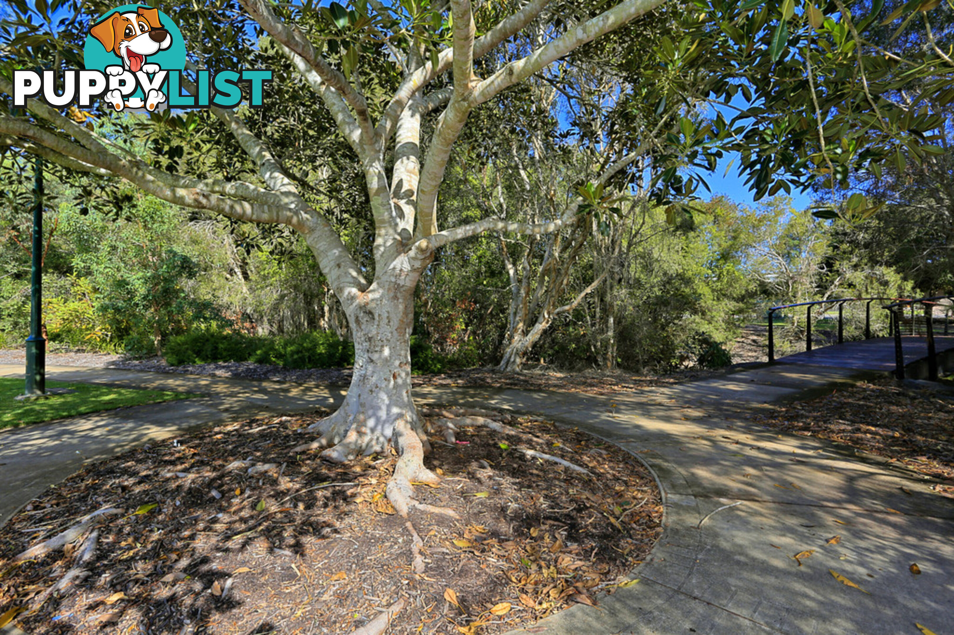 46 Bay Park Road WONDUNNA QLD 4655