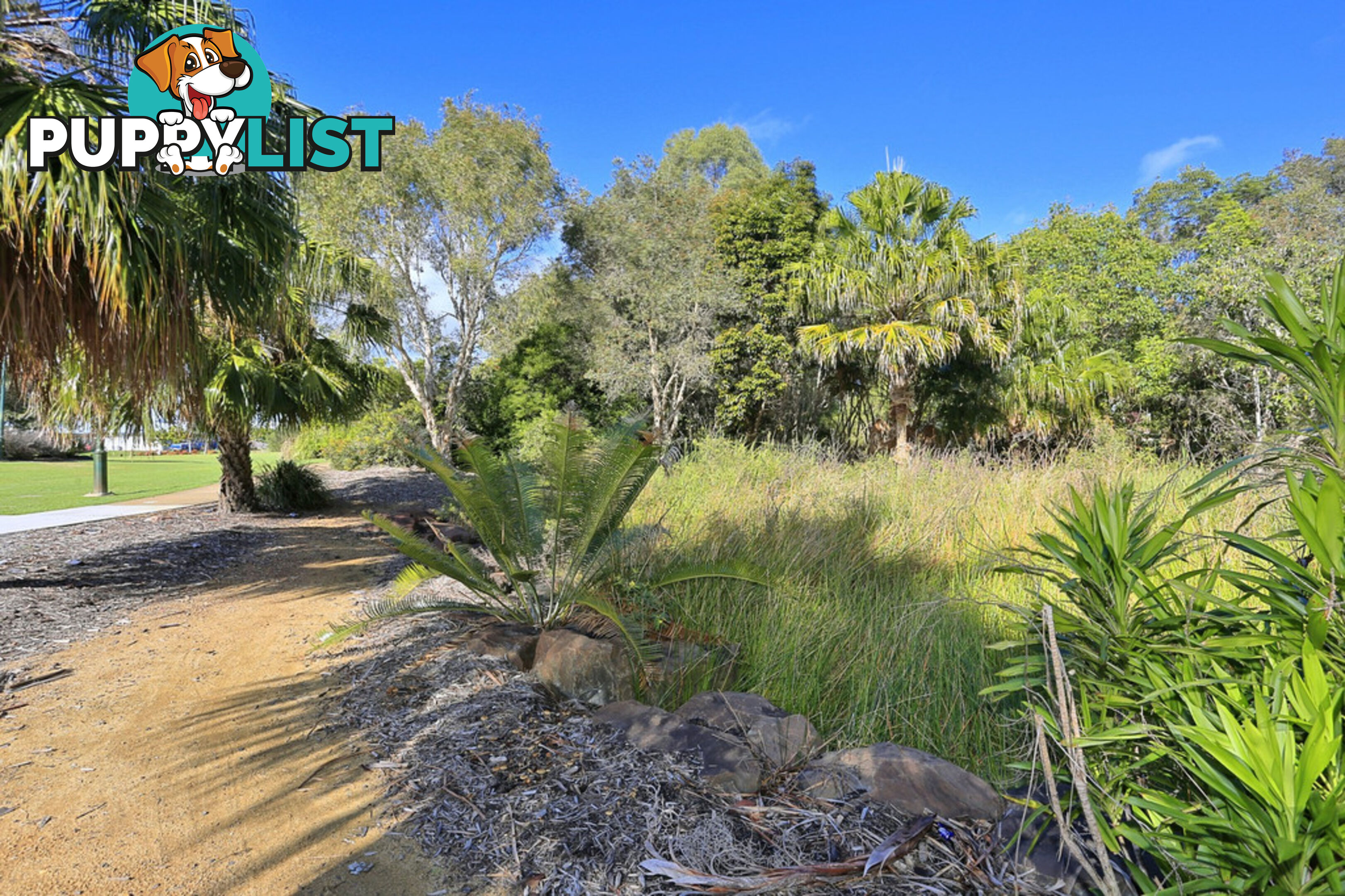 46 Bay Park Road WONDUNNA QLD 4655