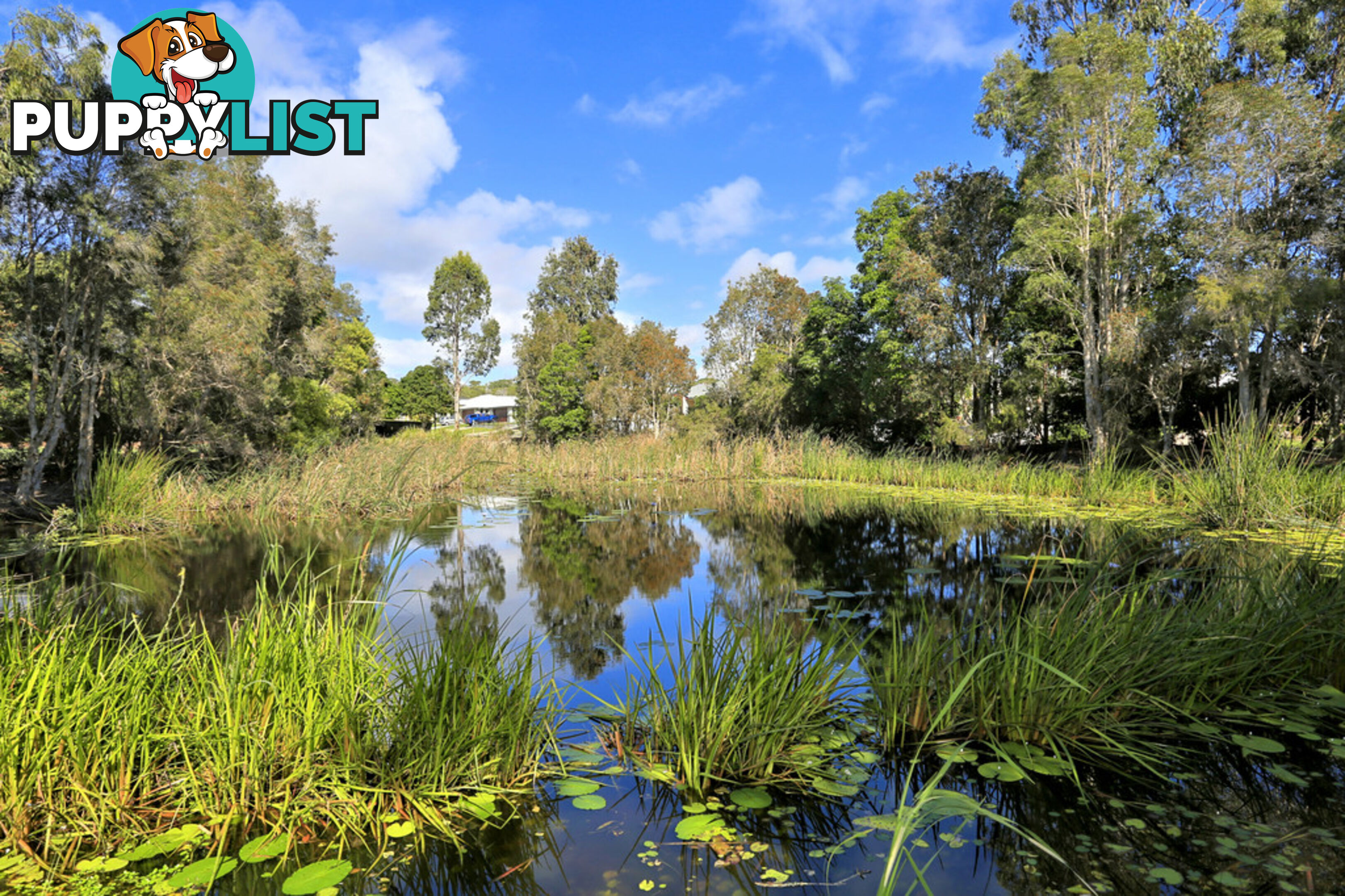 46 Bay Park Road WONDUNNA QLD 4655