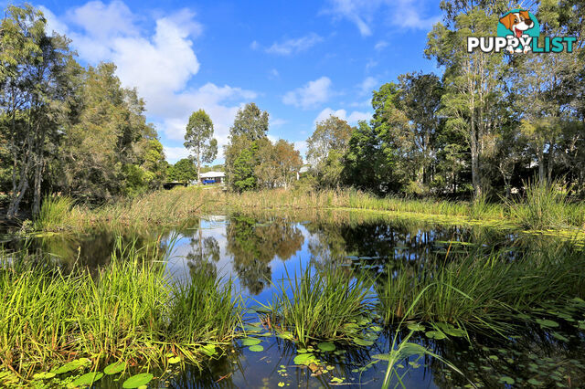 46 Bay Park Road WONDUNNA QLD 4655