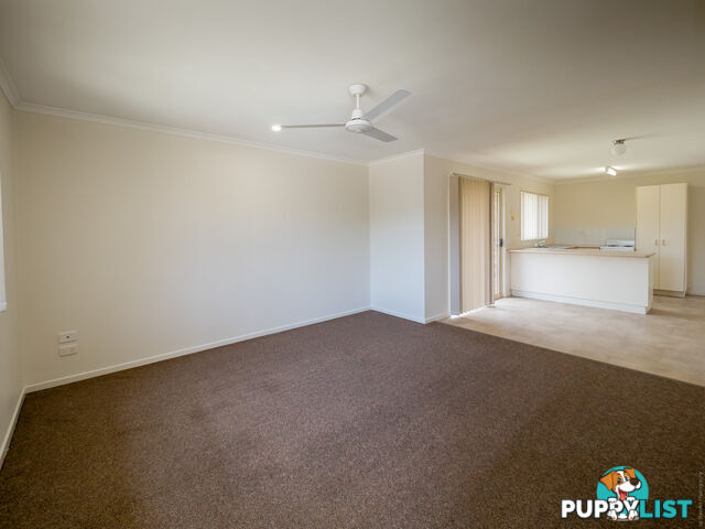 7 Goodwin Avenue POINT VERNON QLD 4655