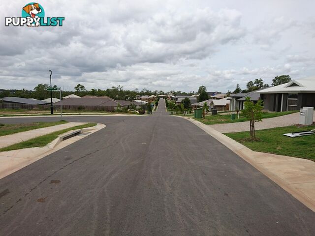 121 Ludwig Street LEICHHARDT QLD 4305