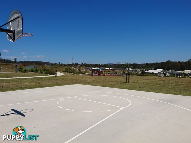 Lot 19 Kerry OBrien Street COLLINGWOOD PARK QLD 4301