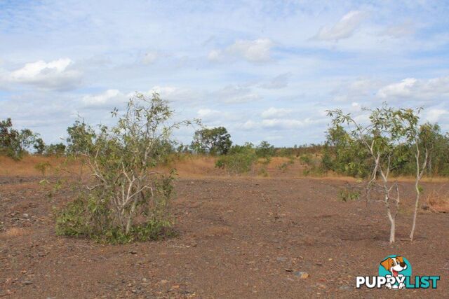 Adelaide River NT 0846