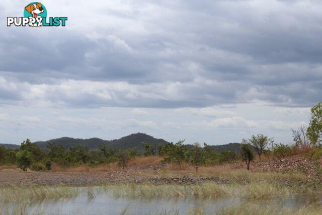 Adelaide River NT 0846