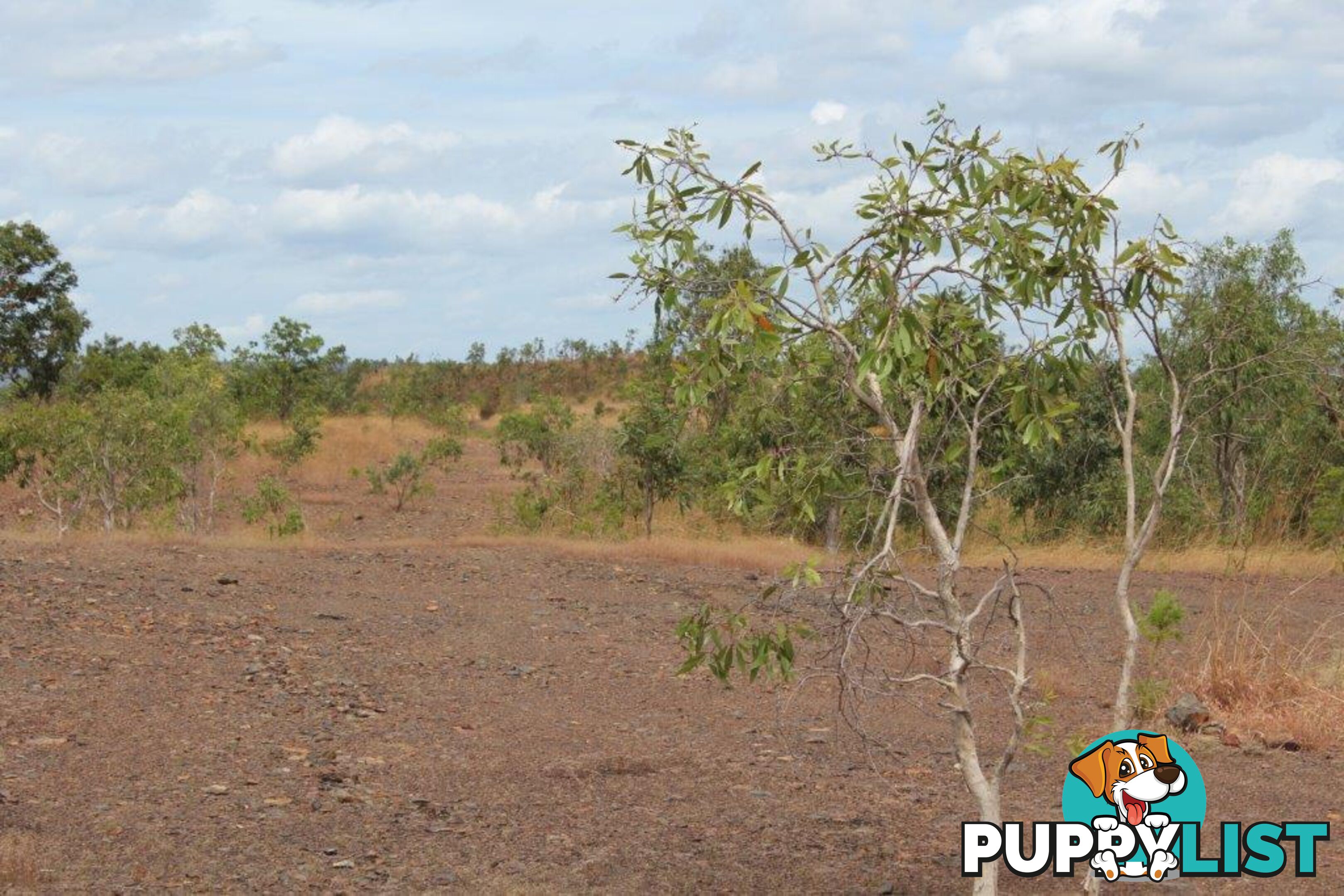 Adelaide River NT 0846