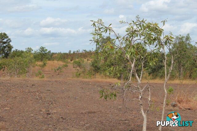 Adelaide River NT 0846