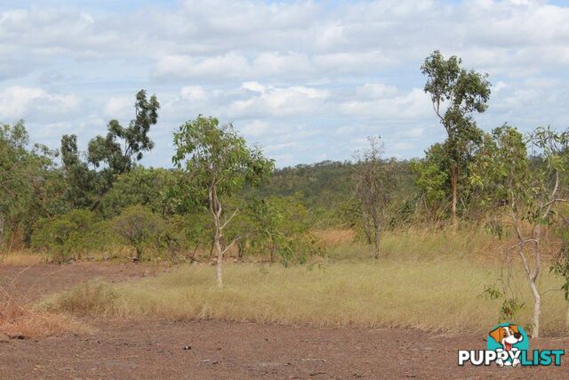 Adelaide River NT 0846