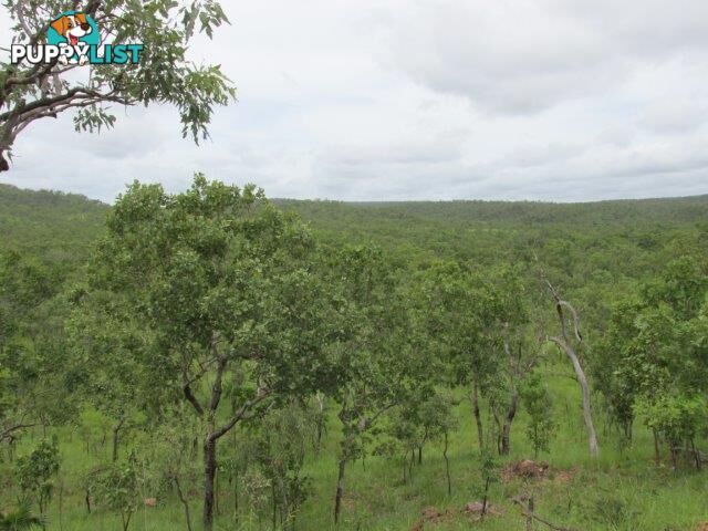 Adelaide River NT 0846