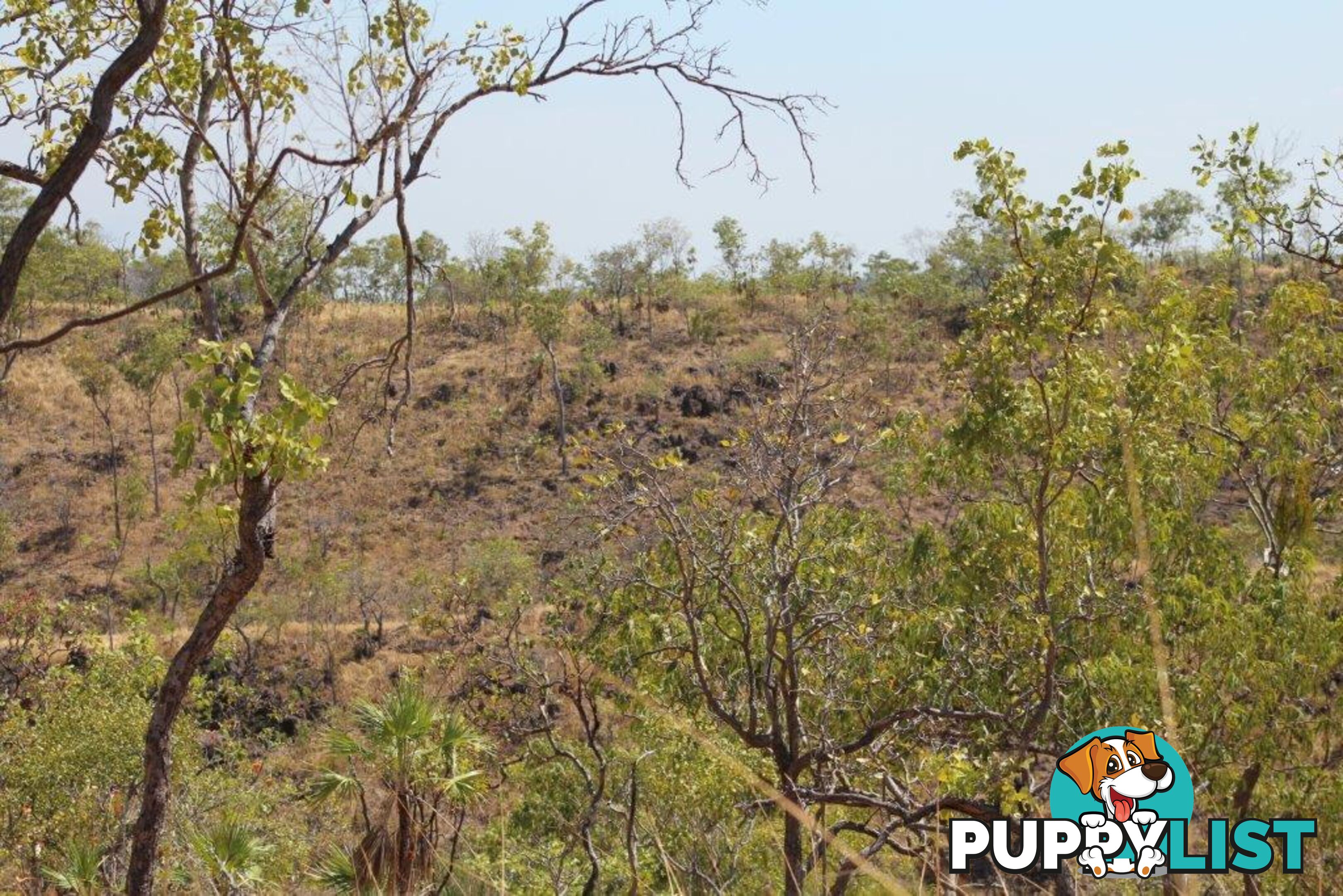 Adelaide River NT 0846