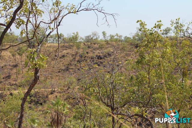 Adelaide River NT 0846