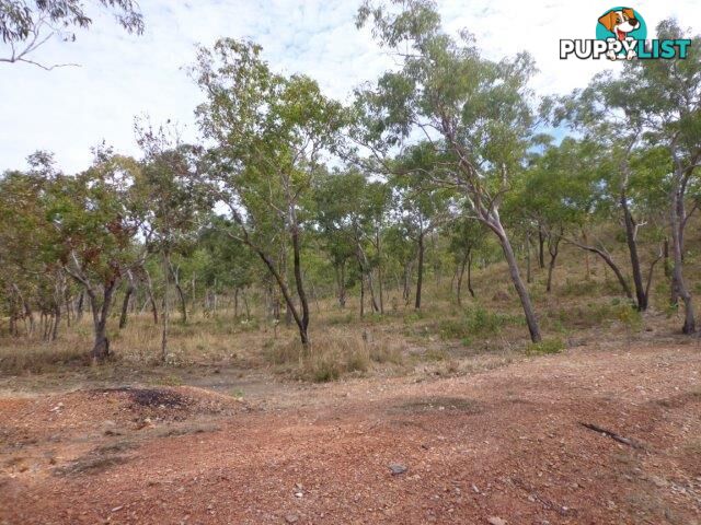 Adelaide River NT 0846