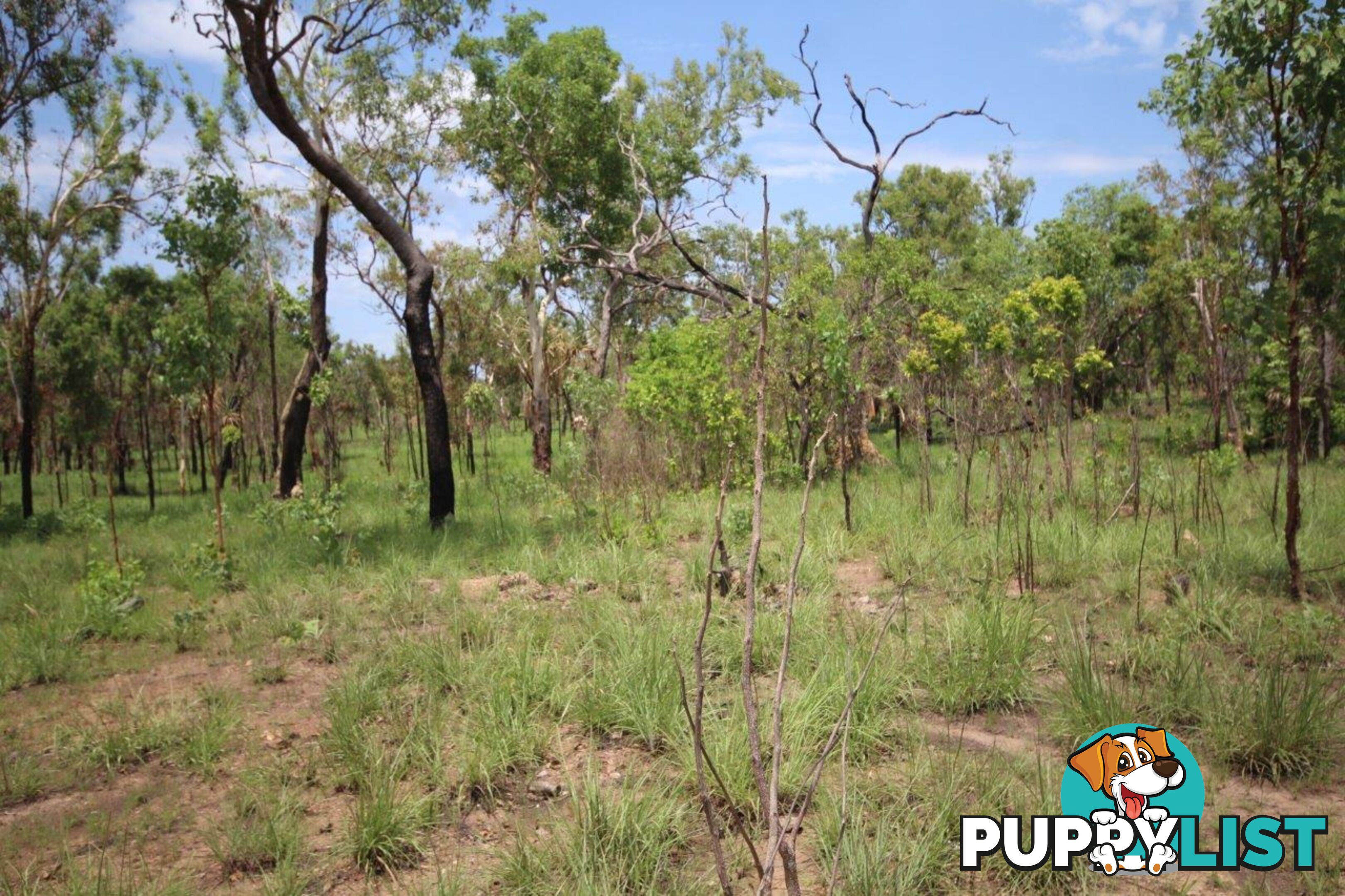 Adelaide River NT 0846