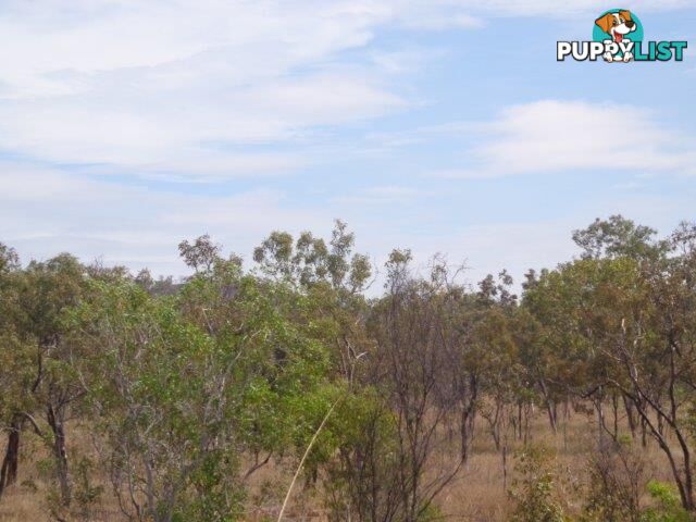 Adelaide River NT 0846