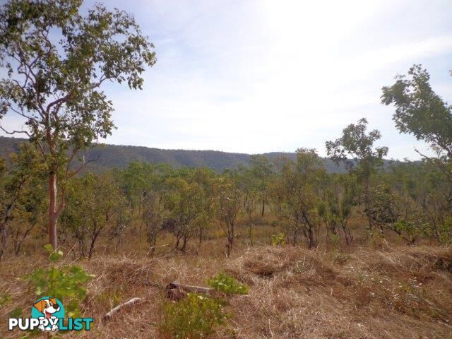 Adelaide River NT 0846