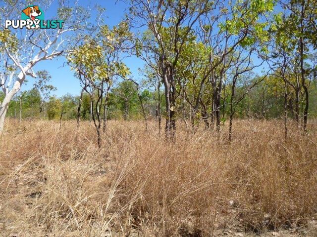 Adelaide River NT 0846