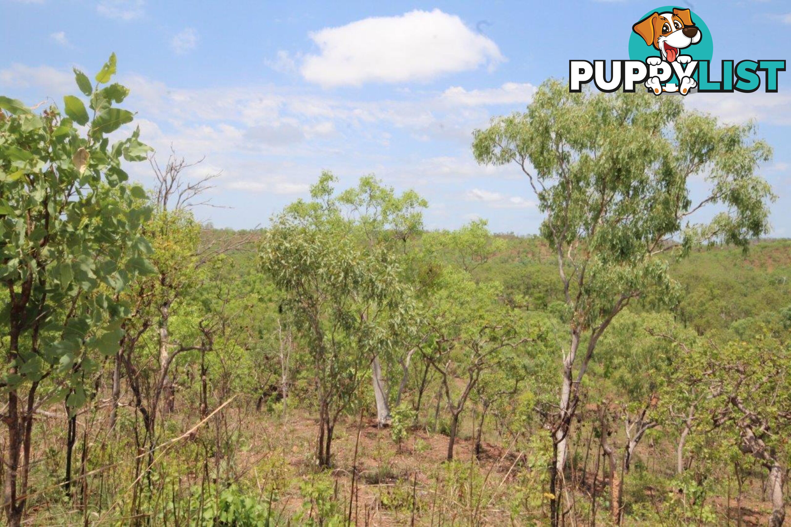 Adelaide River NT 0846