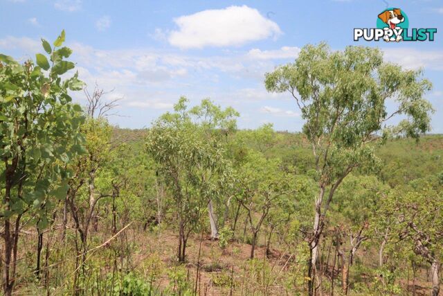 Adelaide River NT 0846