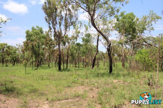 Adelaide River NT 0846