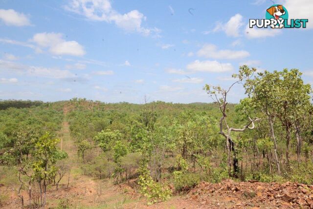 Adelaide River NT 0846