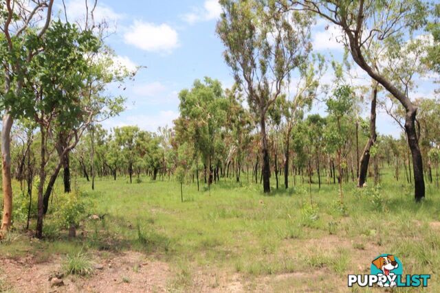 Adelaide River NT 0846