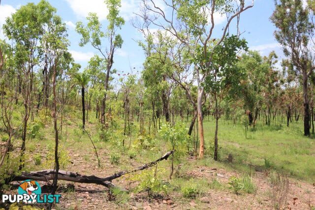 Adelaide River NT 0846