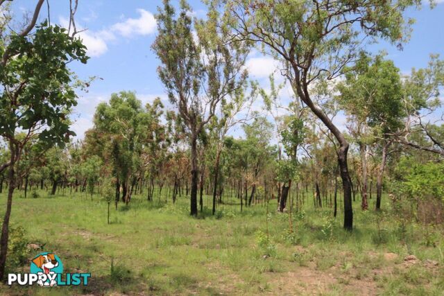 Adelaide River NT 0846