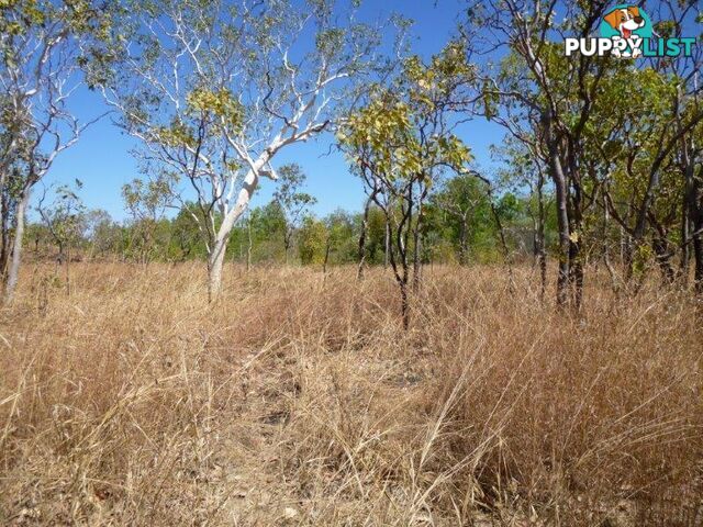 Adelaide River NT 0846