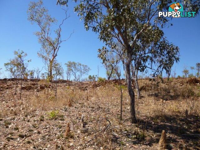 Adelaide River NT 0846