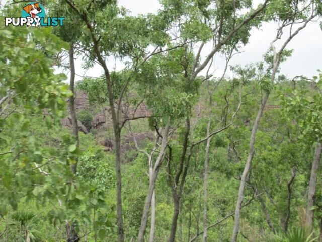 Adelaide River NT 0846