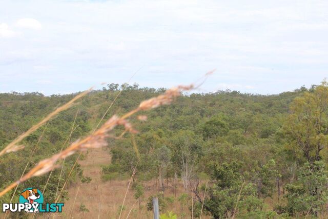 Adelaide River NT 0846