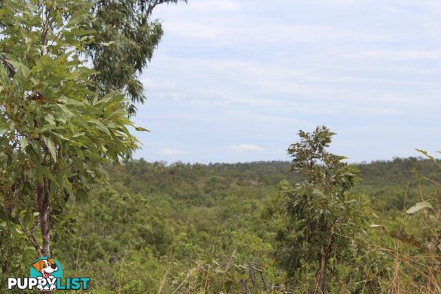 Adelaide River NT 0846