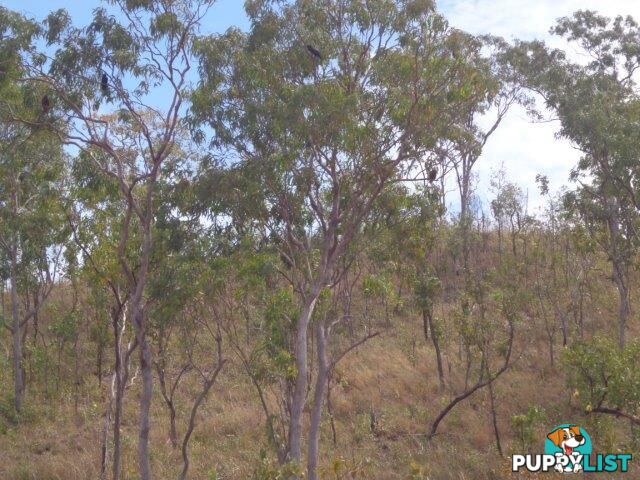 Adelaide River NT 0846