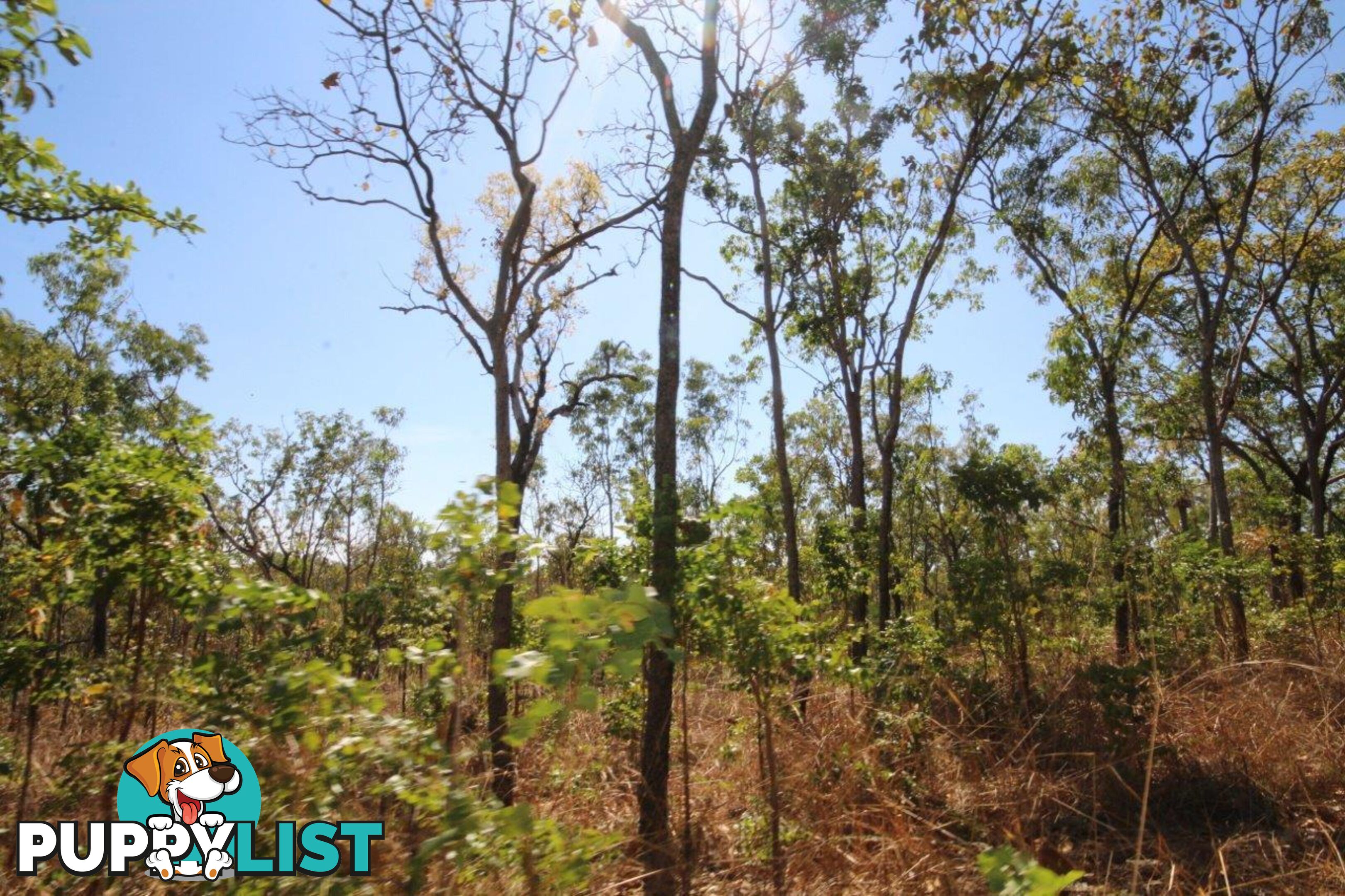 1485 Leonino Road Darwin River NT 0841